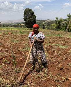 EDFI Provides EU-Backed Guarantee to Support Swedfund’s USD 10 Million Loan for MSME