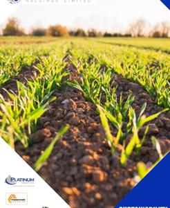 Sustainability Report 2021