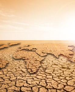 Climate Change - Carbon Emissions