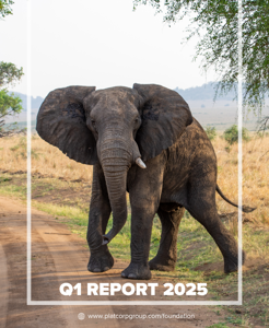 Platcorp Foundation Q1 2025 Project