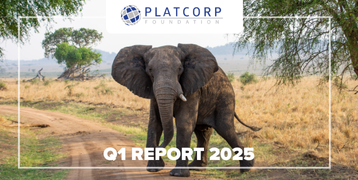 Platcorp Foundation Q1 2025 Project