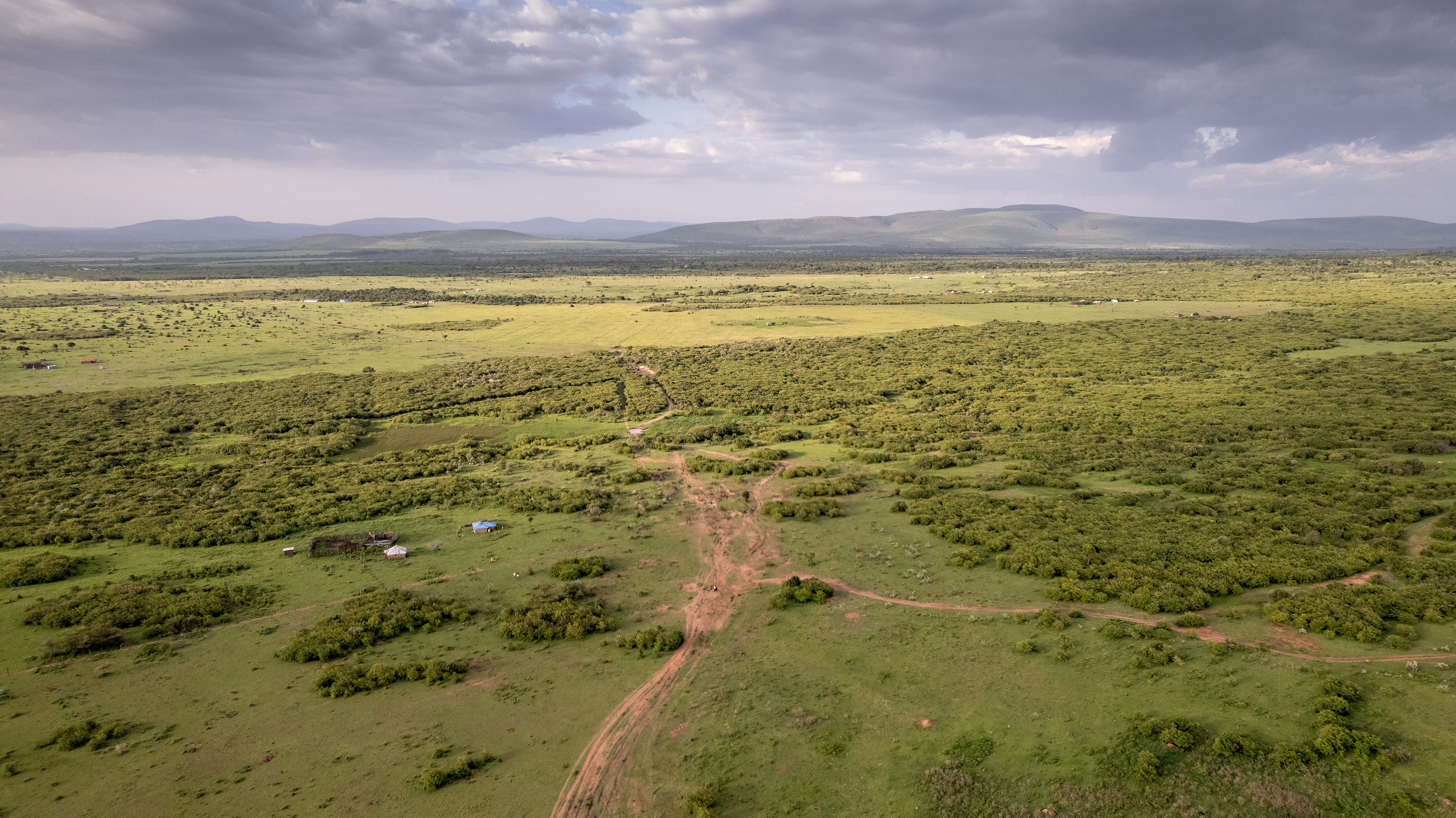 Platcorp supports the Mara Mbokishi Conservancy